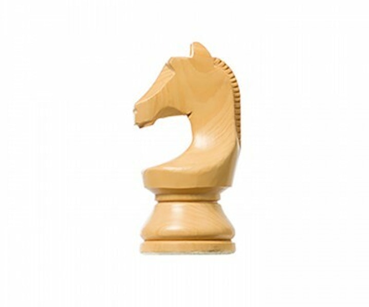 DGT Official FIDE set Weighted
